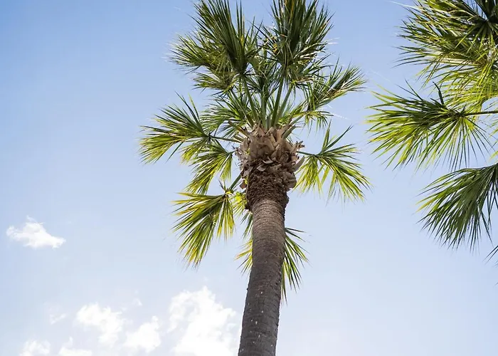 Seaside Serenity: Your Perfect Escape! Apartment Clearwater Beach